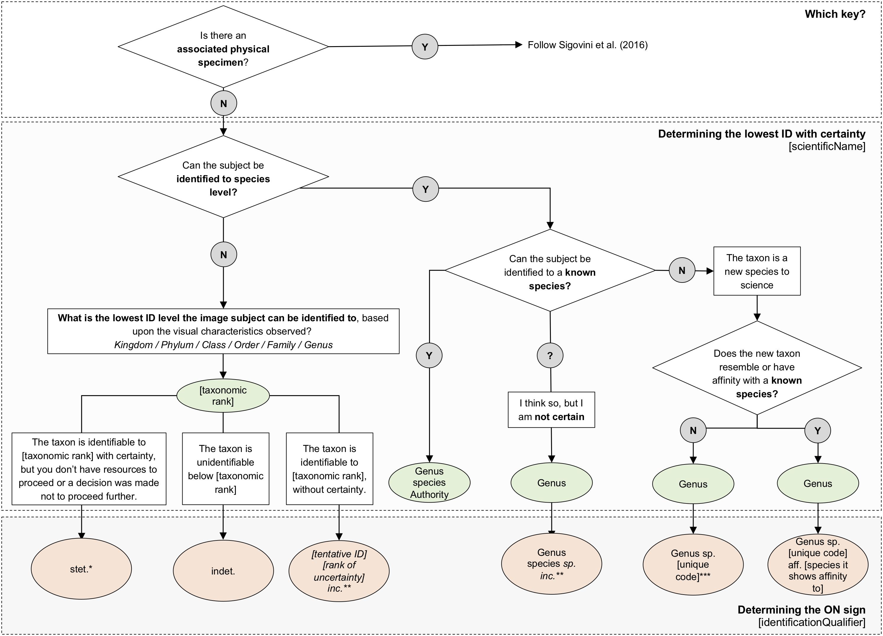Figure 2: Flow diagram with the main Open Nomenclature qualifiers for the identification of specimens from images (non-physical, image-based) . More information and figure copied from Recommendations for the Standardisation of Open Taxonomic Nomenclature for Image-Based Identifications